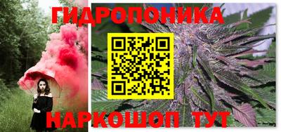 мдпв Беслан