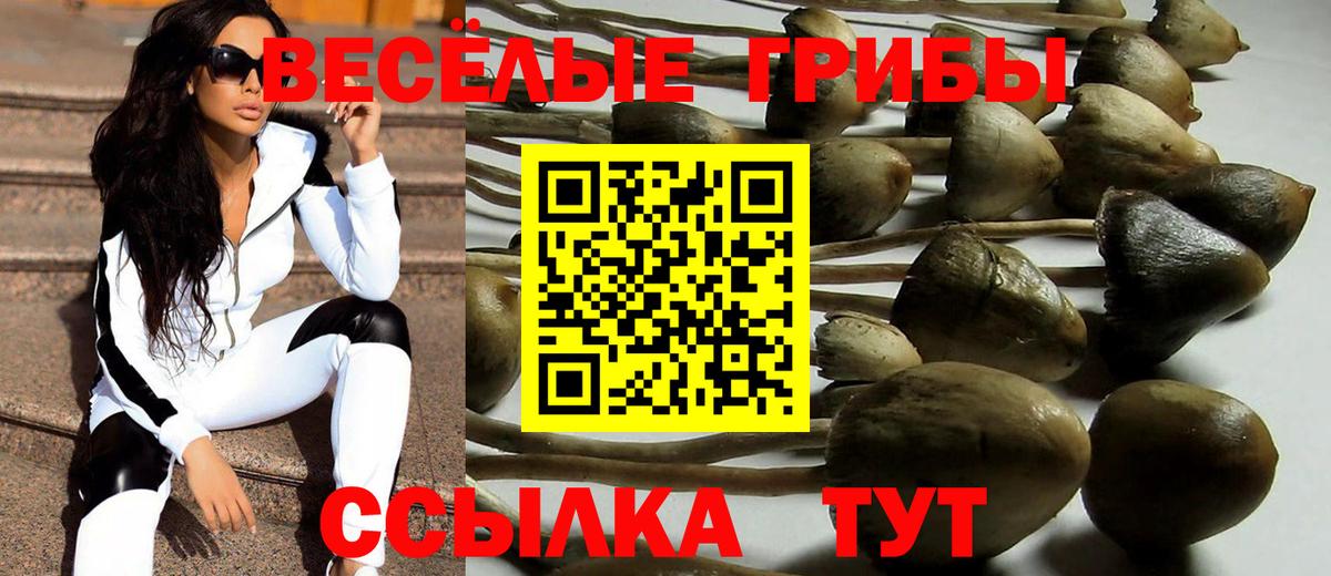 наркошоп  Псилоцибиновые грибы Psilocybine cubensis  Вход с VPN  Псилоцибиновые грибы прущие грибы  Кирово-Чепецк 